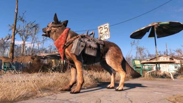 fallout4-dogmeat-6