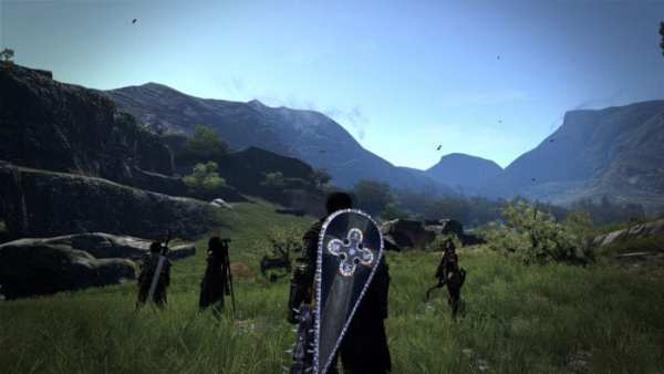 Dragon's Dogma: Dark Arisen how to level up easy