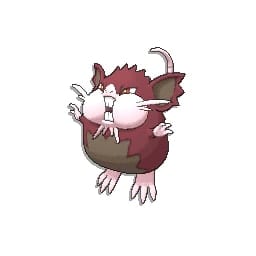 pokemon sun and moon raticate