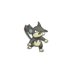 pokemon sun and moon rattata