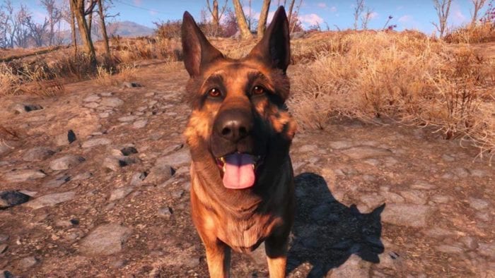 fallout 4 dogmeat