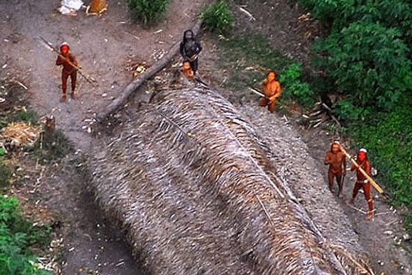 Amazon Rainforest, Brazil, Assassin's Creed