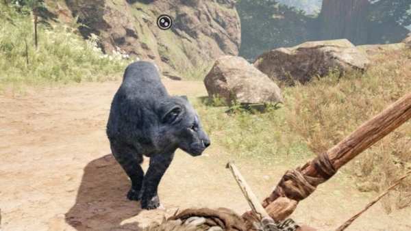 far cry primal rare black lion skin