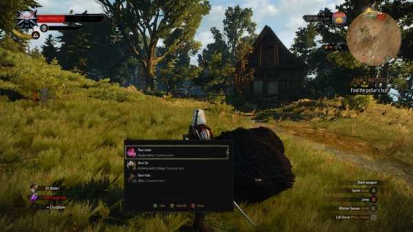 Witcher 3, Mod, AutoLoot