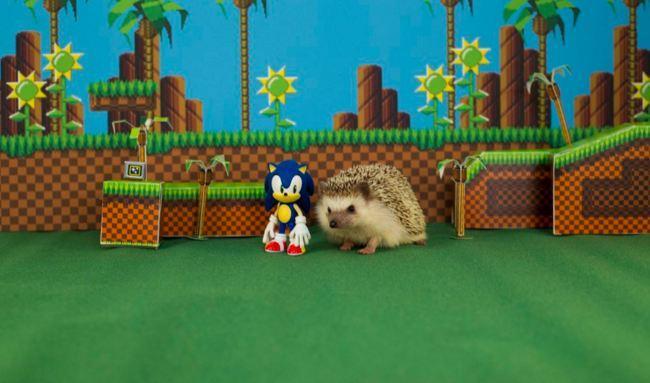 Sonic the Hedgehog