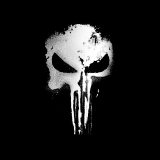 The Punisher netflix show series marvel