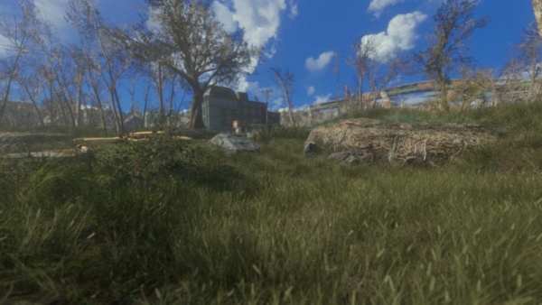 fallout 4, mods, grasslands