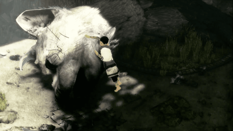 The Last Guardian