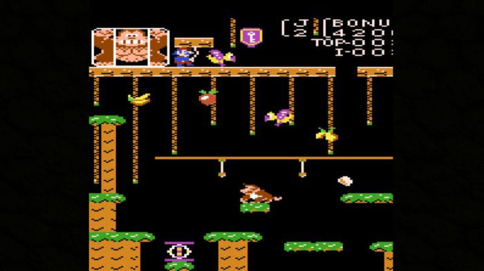 13. Donkey Kong Jr.