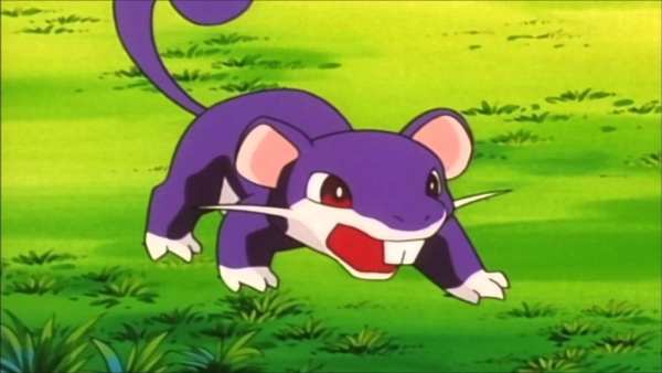 rattata pokemon go