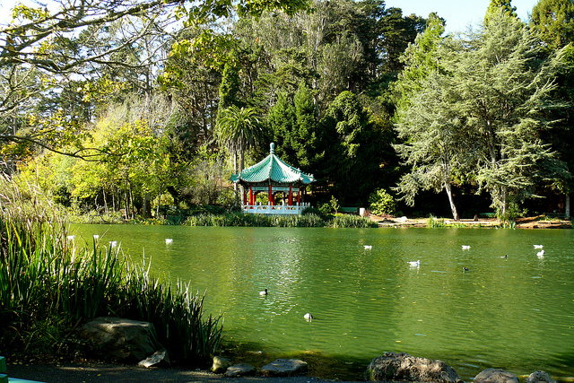 Golden Gate Park - Real Life