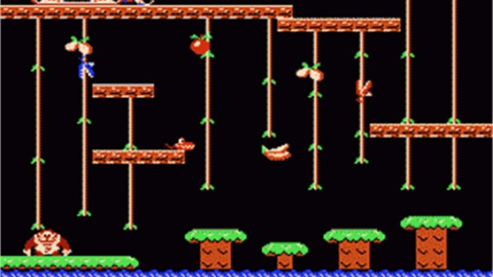 22. Donkey Kong Jr.