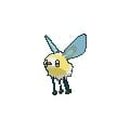 cutiefly