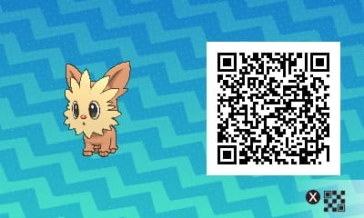 lillipup