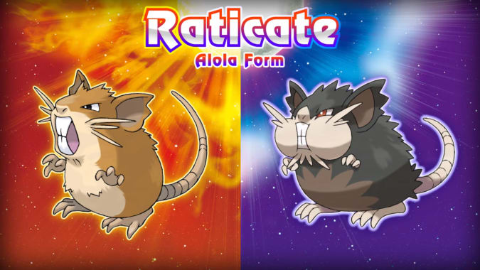 Raticate