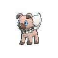 rockruff