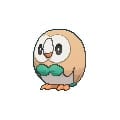 rowlet, pokemon