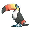 toucannon