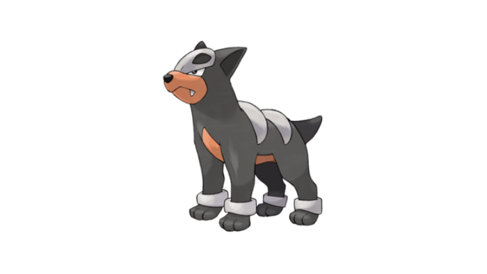 Houndour