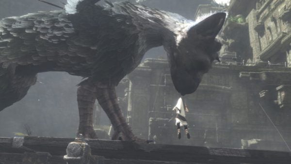 last-guardian-3