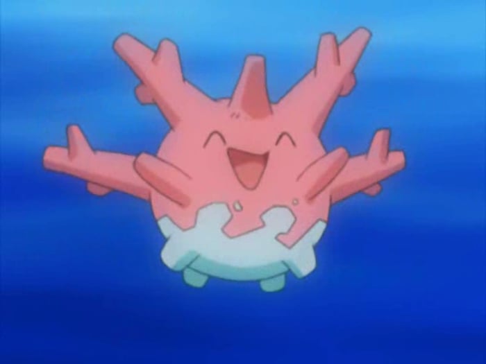 CORSOLA