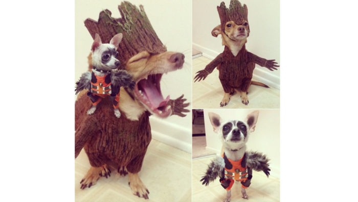 Rocket and Groot