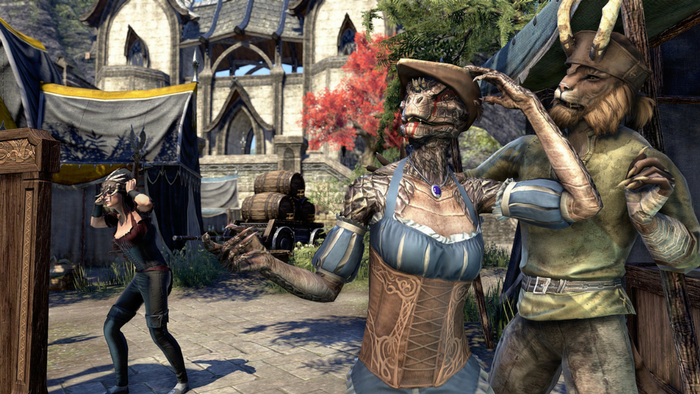 Elder Scrolls Online Gameplay