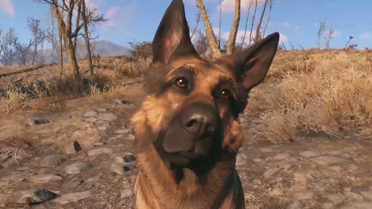 Fallout 4 Dogmeat