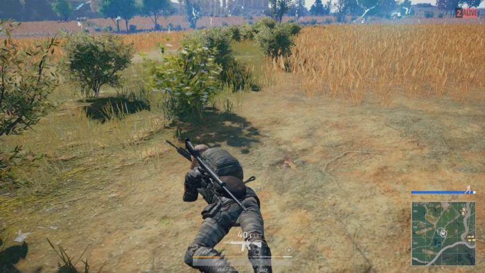 pubg, prone