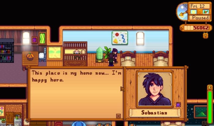 Sebastian (Stardew Valley)