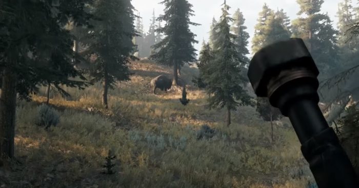 far cry 5 animals ranked