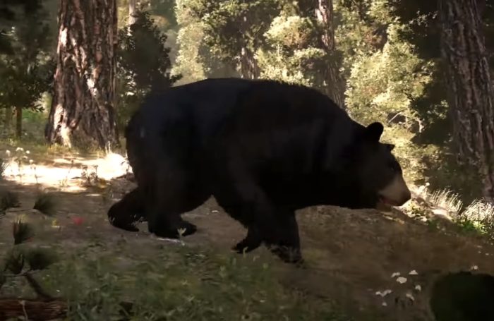 far cry 5 animals ranked