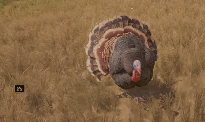 far cry 5 animals ranked