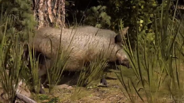 far cry 5 animals ranked