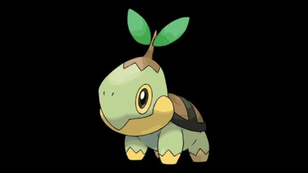 Turtwig