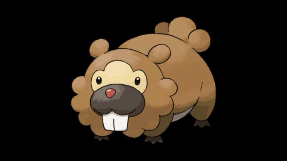 Bidoof