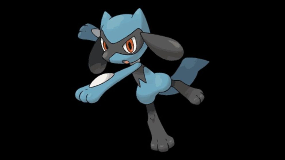 Riolu