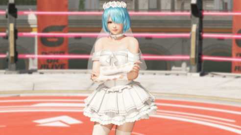 DOA6 (6)