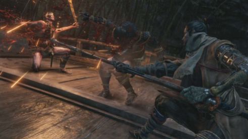 Sekiro (17)