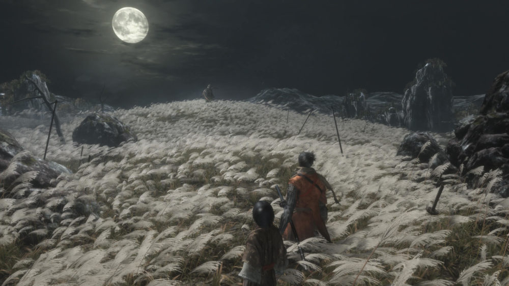 sekiro: shadows die twice, soulsborne, dark souls, fromsoftware