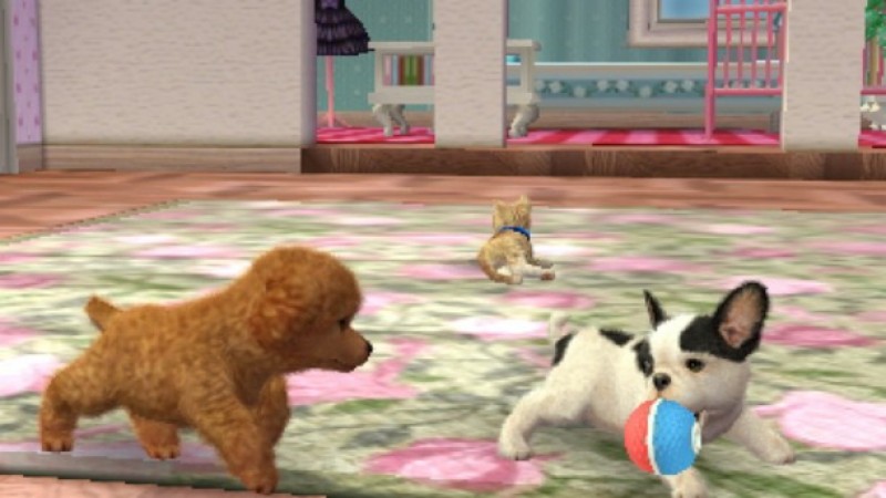 2. Nintendogs+Cats