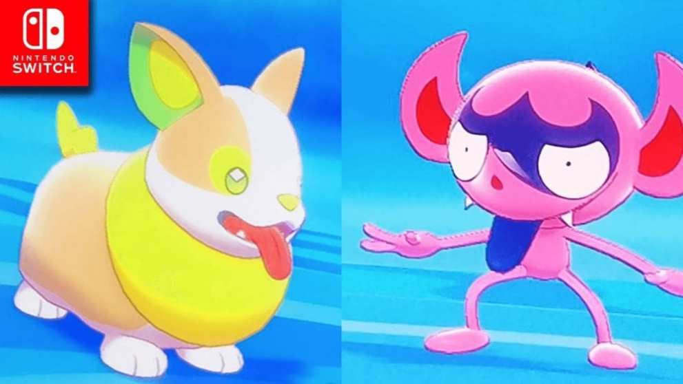 Pokemon sword and shield, Yamper