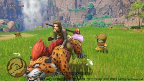 Dragon Quest XI S (3)