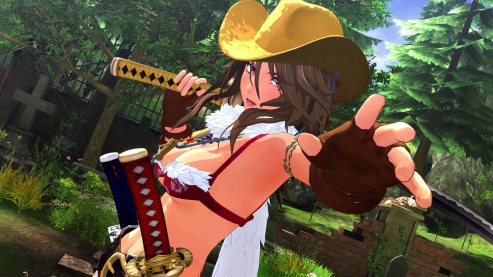 Onechanbara Origin