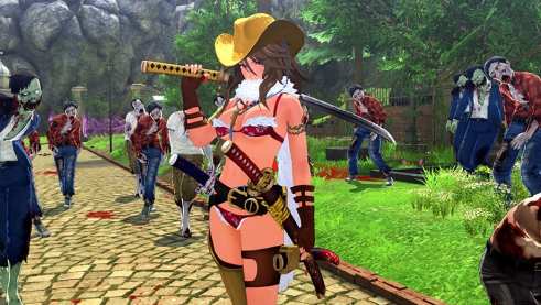 Onechanbara Origin