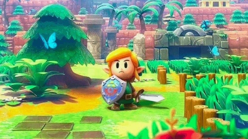 Zelda link’s awakening raccoon