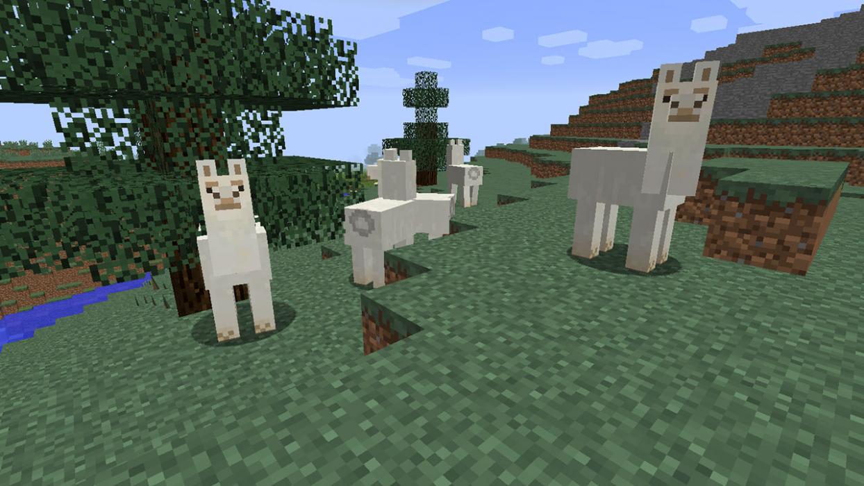 how to breed Llamas in Minecraft