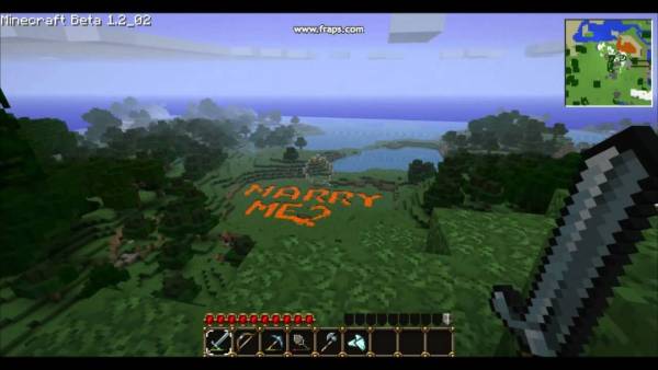 Minecraft marriage proposals