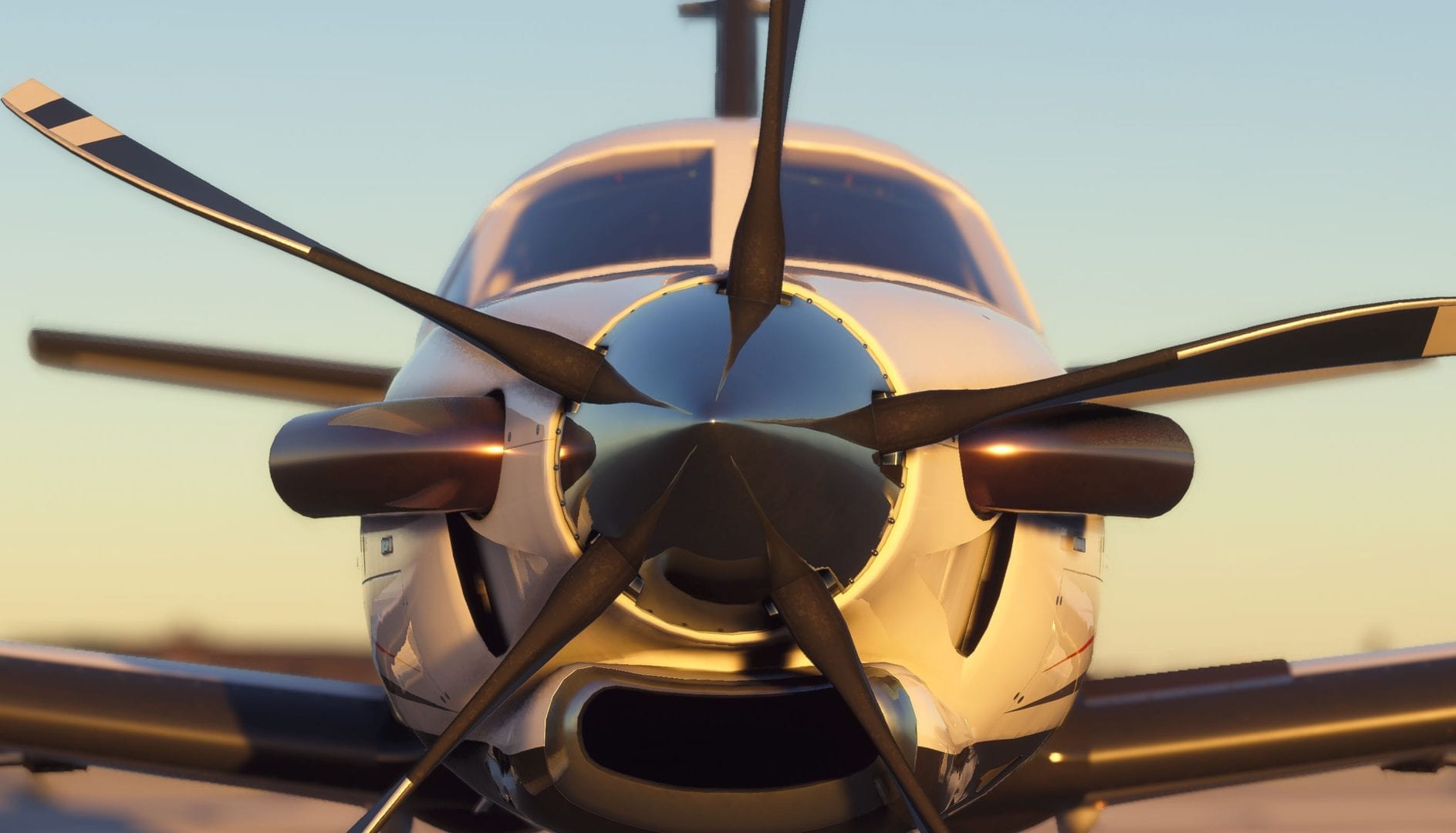 Microsoft Flight Simulator