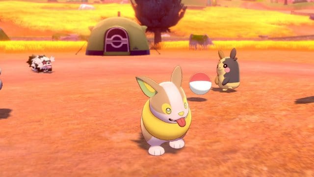 Pokemon camp, reasons to play pokemon sword and shield